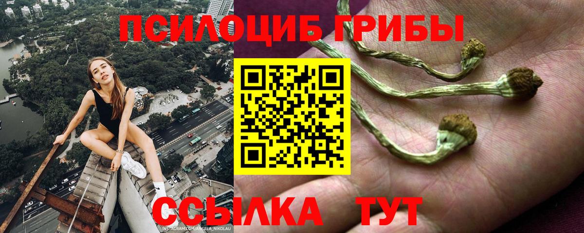 Бузулук  Галлюциногенные грибы мицелий  Вход с VPN 